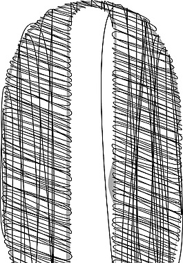 手绘字体矢量插画