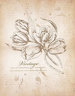 与花束花卉背景矢量插图