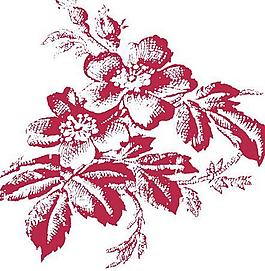 高清晰D花紋背景素材024