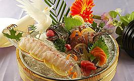 魚(yú)肉