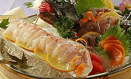 魚(yú)肉