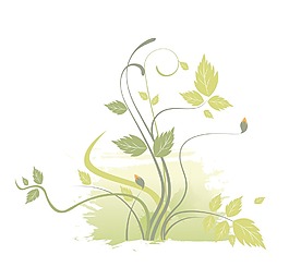 向量的花藝設計
