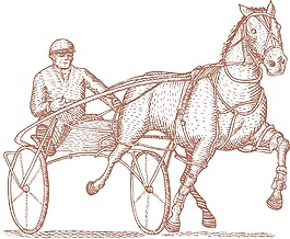 马和骑师的赛马