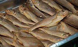 小黃花魚