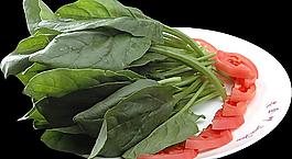 菠菜