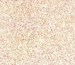 5077_石材_綜合