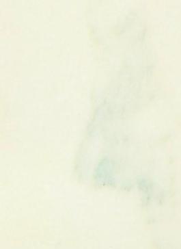 3859_石材_綜合