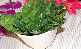 菠菜