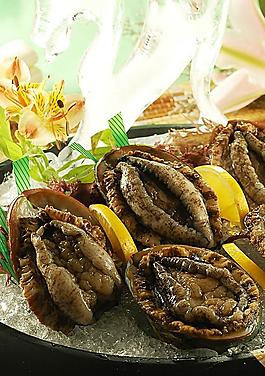 鮑魚(yú)肉