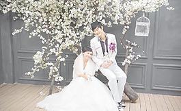 結(jié)婚照 婚紗照圖片