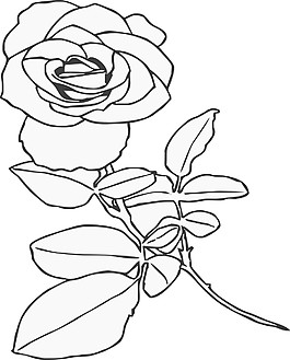 线描花纹 花纹花边 时尚花纹 花朵模板下载