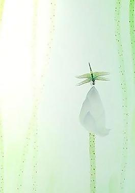 30056_玻璃貼圖_門窗玻