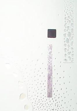 2075_玻璃貼圖_門窗玻