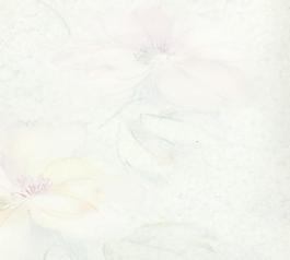 35927_布紋_中式