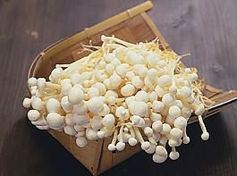 金針菇