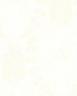 中布紋_布紋_中紋(技術(shù)組專用)