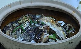砂鍋魚頭煲