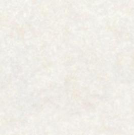 37229_瓷磚_綜合