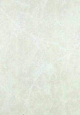 22694_瓷磚_地磚