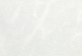 10641_壁紙_綜合