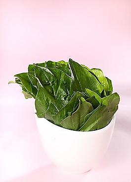 蔬菜