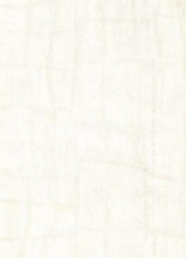 11651_壁紙_綜合