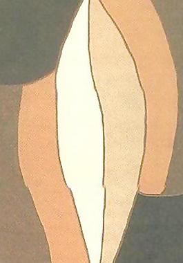 51859_地毯_花毯