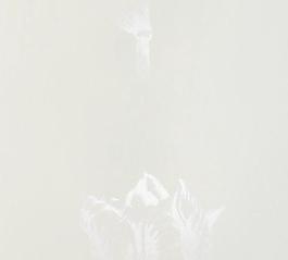 20468_壁紙_綜合
