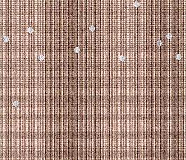 63502_地毯_紋邊