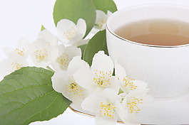 一杯茶