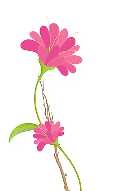 粉紅色的花朵矢量分公司