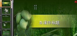 中學生物教學植物類課件PPT模板