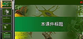 初中生物生命活動調節PPT課件模板