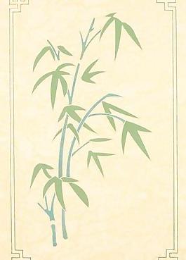 53986_地面_地面拼花