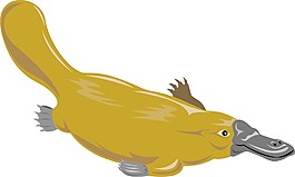 鴨嘴獸潛水