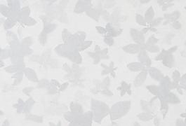 29901_壁紙_綜合