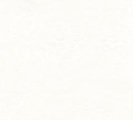 24540_壁紙_淺色