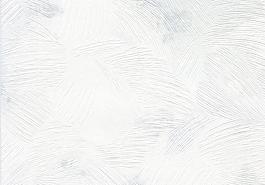 27129_壁纸_浅色
