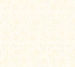 16969_壁紙_細(xì)紋