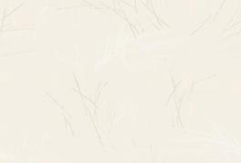 12056_壁紙_自然