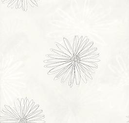 11319_壁紙_印象