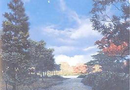 11275_壁紙_歐陸風情