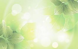 夢(mèng)幻植物背景矢量素材3