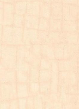 11646_壁紙_歐式中紋