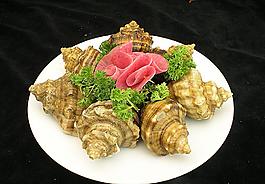 鮮海螺