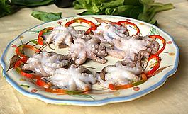 八爪魚