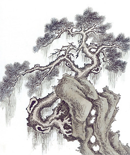 松樹延年