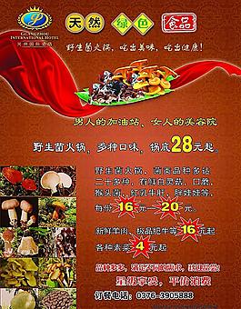 食用菌宣傳單頁