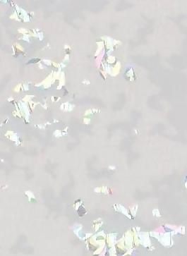 44170_肌理油彩_板彩膠