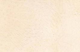 56797_皮革_綜合